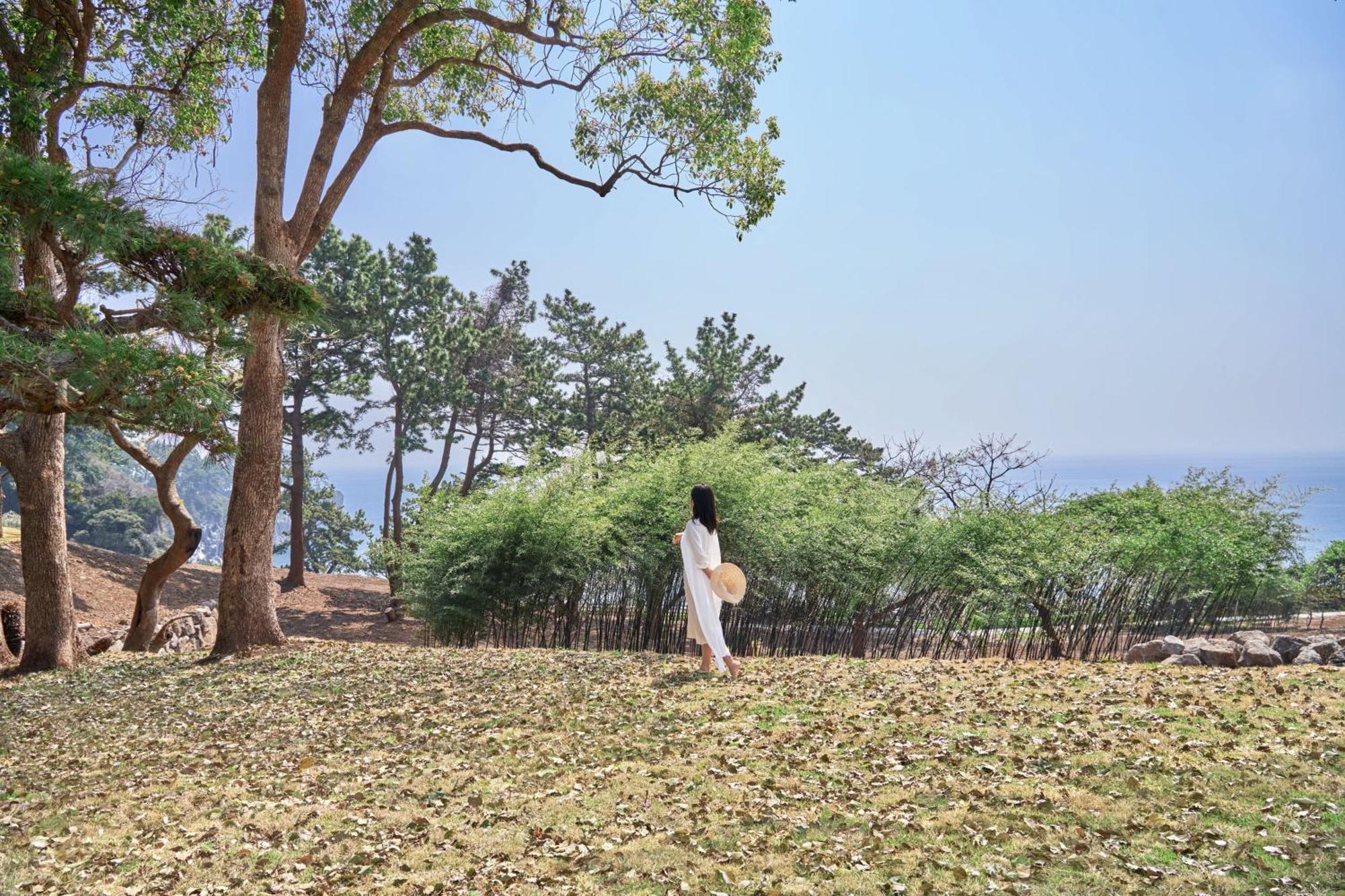 Jw Marriott Jeju Resort & Spa Seogwipo-stad Buitenkant foto